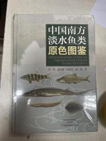 中国南方淡水鱼类原色图鉴