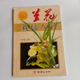 兰花栽培入门