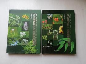 丹东地区野生动植物原色图鉴—植物分册（1-2）吉林教育岀版社2012年一版一印【仅印2000册】精装16开