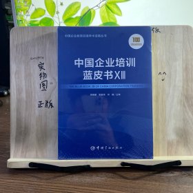 中国企业培训蓝皮书XIII