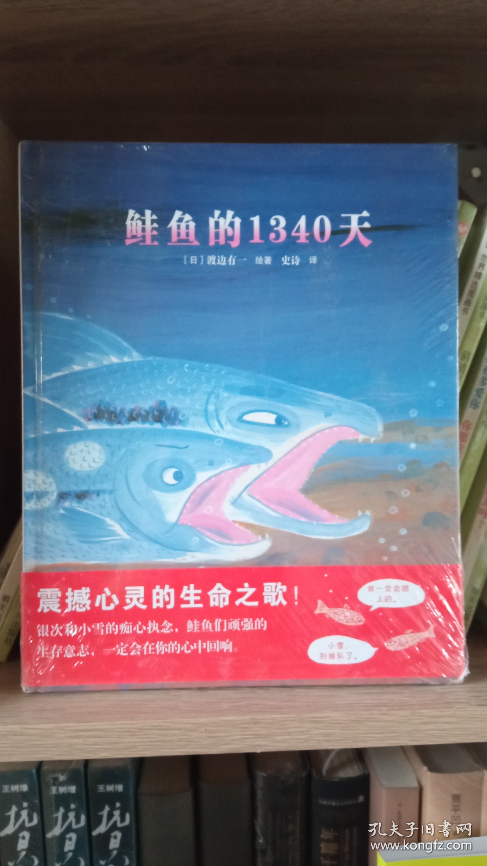 蓝风筝童书：鲑鱼的1340天
