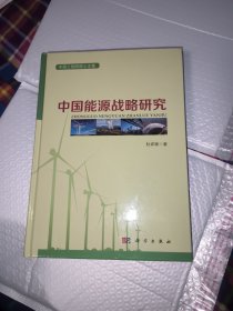 中国工程院院士文集：中国能源战略研究