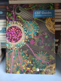CST Guide : Pathways & protocols (1st edition)  英文原版精装
