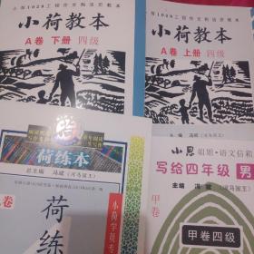 小荷教本a卷下册四级+A卷上册级+荷练本+写给四年级男生