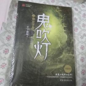 鬼吹灯5：黄皮子坟