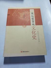 宋辽夏金元文化史