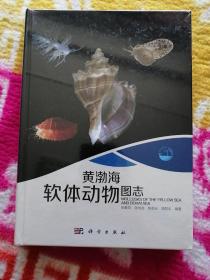 黄渤海软体动物图志  ，全新塑封未拆封。