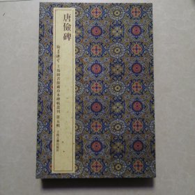 翰墨瑰宝·上海图书馆藏珍本碑帖丛刊·第五辑：唐俭碑（精装无盒）