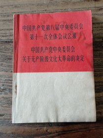 中国共产党第八届中央委员会第十一次全体会议公报