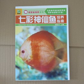 七彩神仙鱼饲养指南