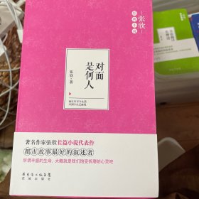 对面是何人（著名作家张欣长篇小说代表作。能让一个女人低头的，是爱情。能把男人折磨得死去活来的，是他们的梦想。）