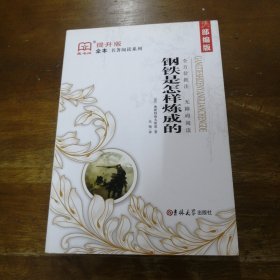 钢铁是怎样炼成的（全译本）