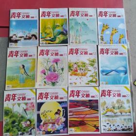杂志《青年文摘》2018，2月下，3月下，4月上下，5月上，6月上下，8月上下，10月上下，11月下共12本共1.6kg