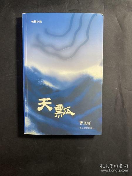 天瓢：16开简装本