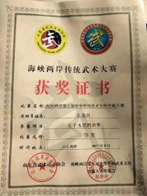 海峡两岸第五届中华传统武术文化交流大赛，女子A组四类拳，二等奖