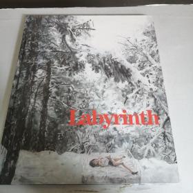 labyrinth  tuhongtao
