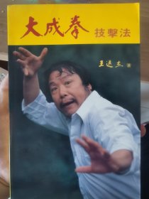 大成拳技击法