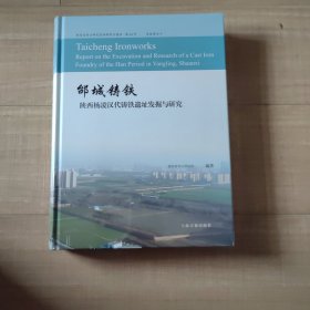 邰城铸铁—陕西杨凌汉代铸铁遗址发掘与研究