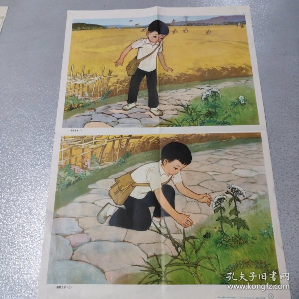 明明上学 六年制小学课本语文第二册教学挂图(下)