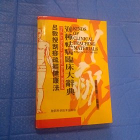 吕教授刮痧疏经健康法——300种祛病临床大辞典