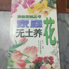 家庭无土养花