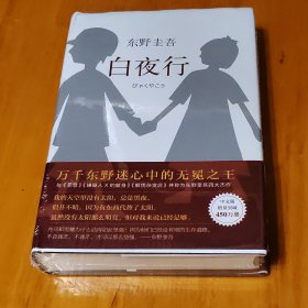 白夜行（精装）