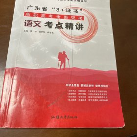 语文考点精讲