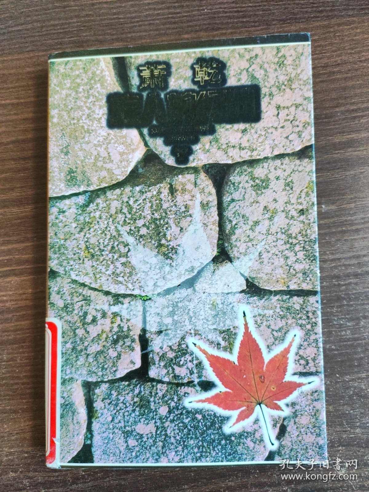 旅人的绿洲 (正反倒看本)馆藏