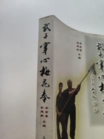 武子穿心梅花拳