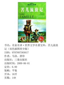名家名译·世界文学名著宝库：苦儿流浪记