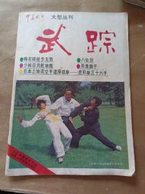 中华武术大型丛刊--武踪（1984.6）