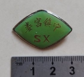 （绍兴兰亭）娄宫镇中校徽