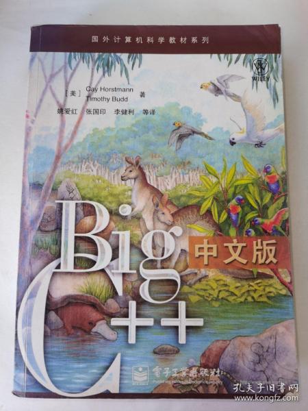 Big C++中文版