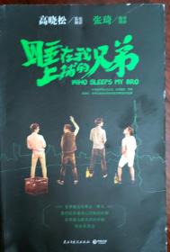 高晓松作品大全套（已出版作品全包括共22册包邮）