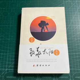 致敬太阳