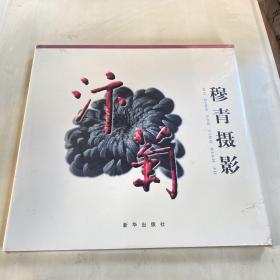 穆青摄影:汴菊未开封