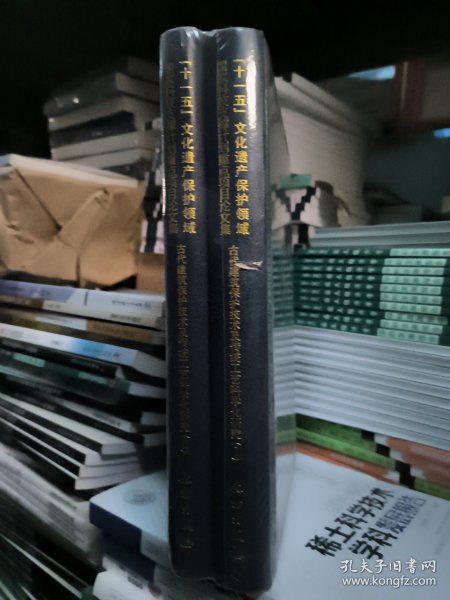 古代建筑保护技术及传统工艺科学化研究
