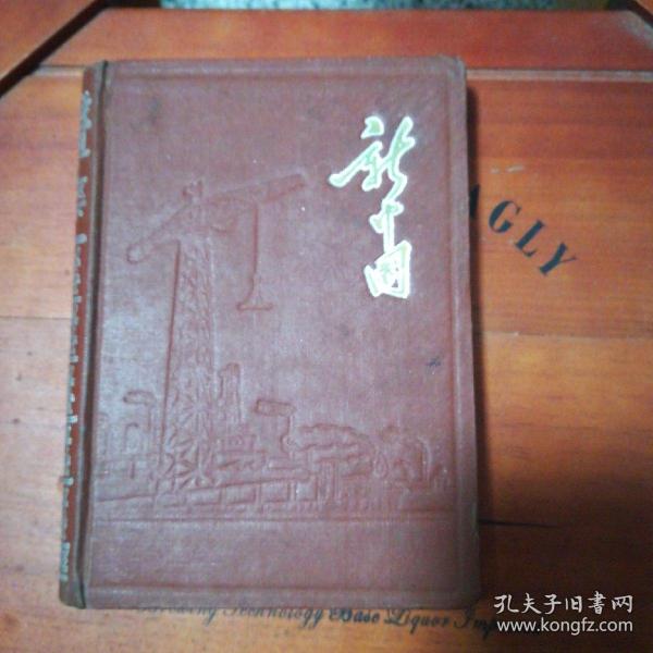 漆面精装新中国日记