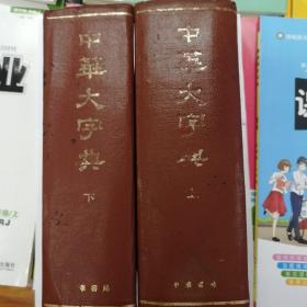 中华大字典 上下（1978年出版）