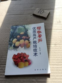 樱桃番茄优质高产栽培技术