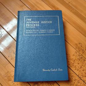 THE  JUVENILE JUSTICE PROCESS THIRD EDITION