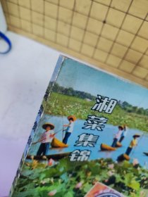 湘菜集锦.续集