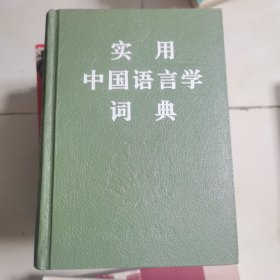 实用中国语言学词典