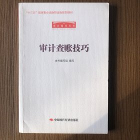 审计查账技巧/审计技巧丛书