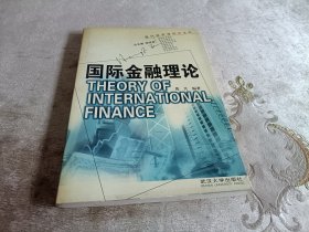 国际金融理论（现代经济学前沿丛书）