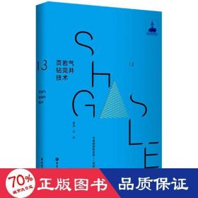 页岩气钻完井技术 冶金、地质 刘猛 编