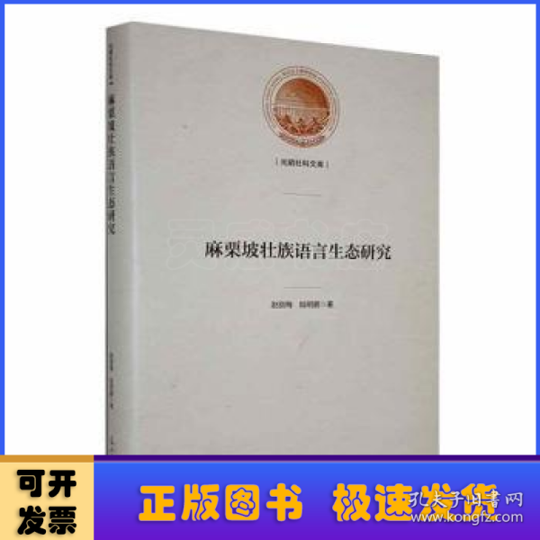 麻栗坡壮族语言生态研究