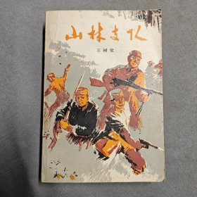 山林支队 上册（1977年一版一印）