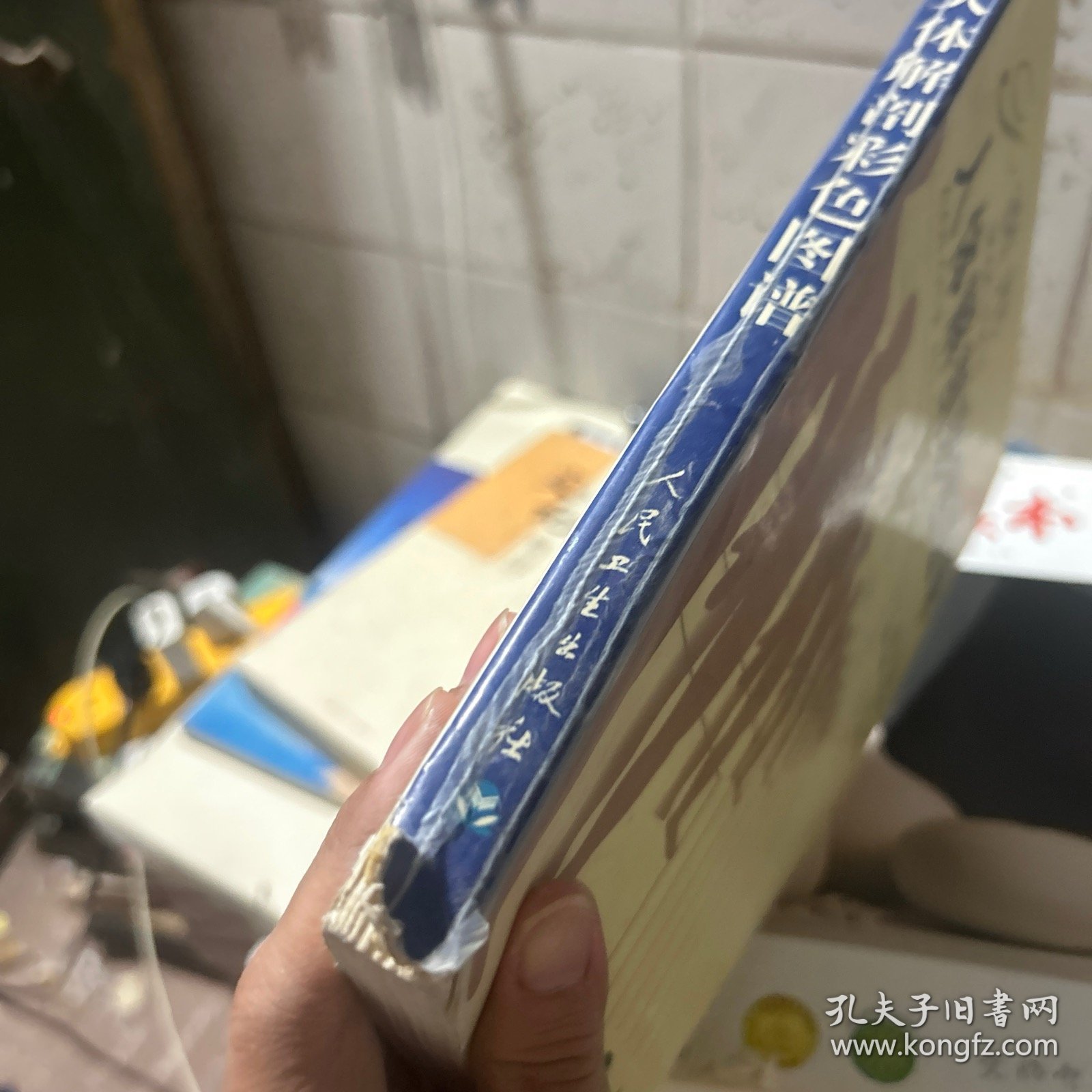 实用人体解剖彩色图谱