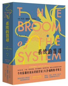 【大卫·福斯特·华莱士】系统的笤帚：影响美国社会的12部经典文学作品之一